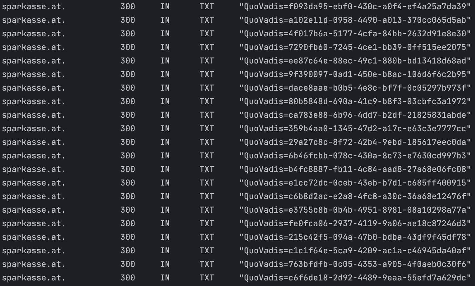 Screenshot Sparkasse DNS records